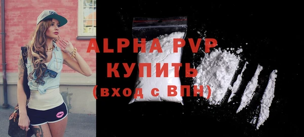 прущие крисы Ельня