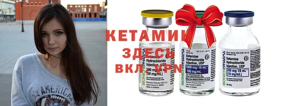 прущие крисы Ельня