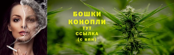 прущие крисы Ельня
