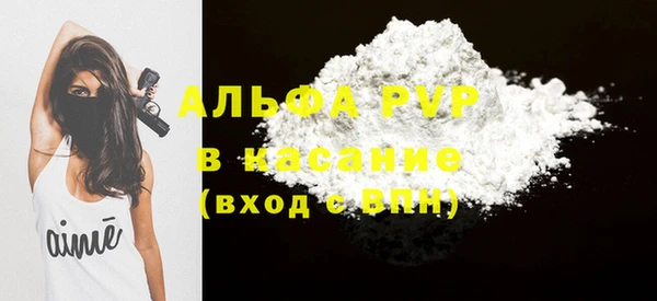 прущие крисы Ельня