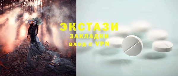 прущие крисы Ельня