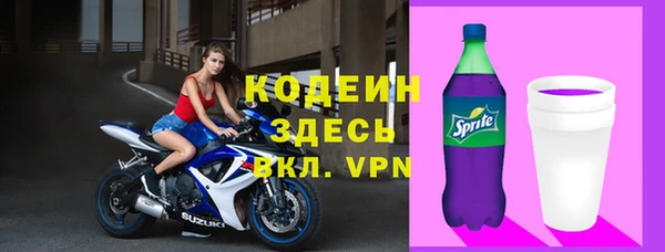 соль ск Елизово