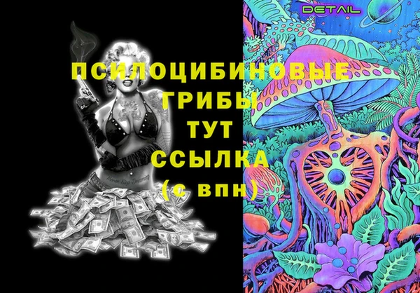 прущие крисы Ельня