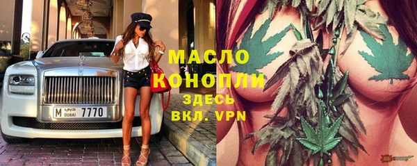 прущие крисы Ельня