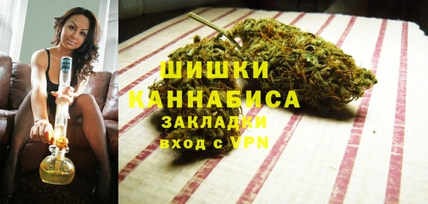 прущие крисы Ельня